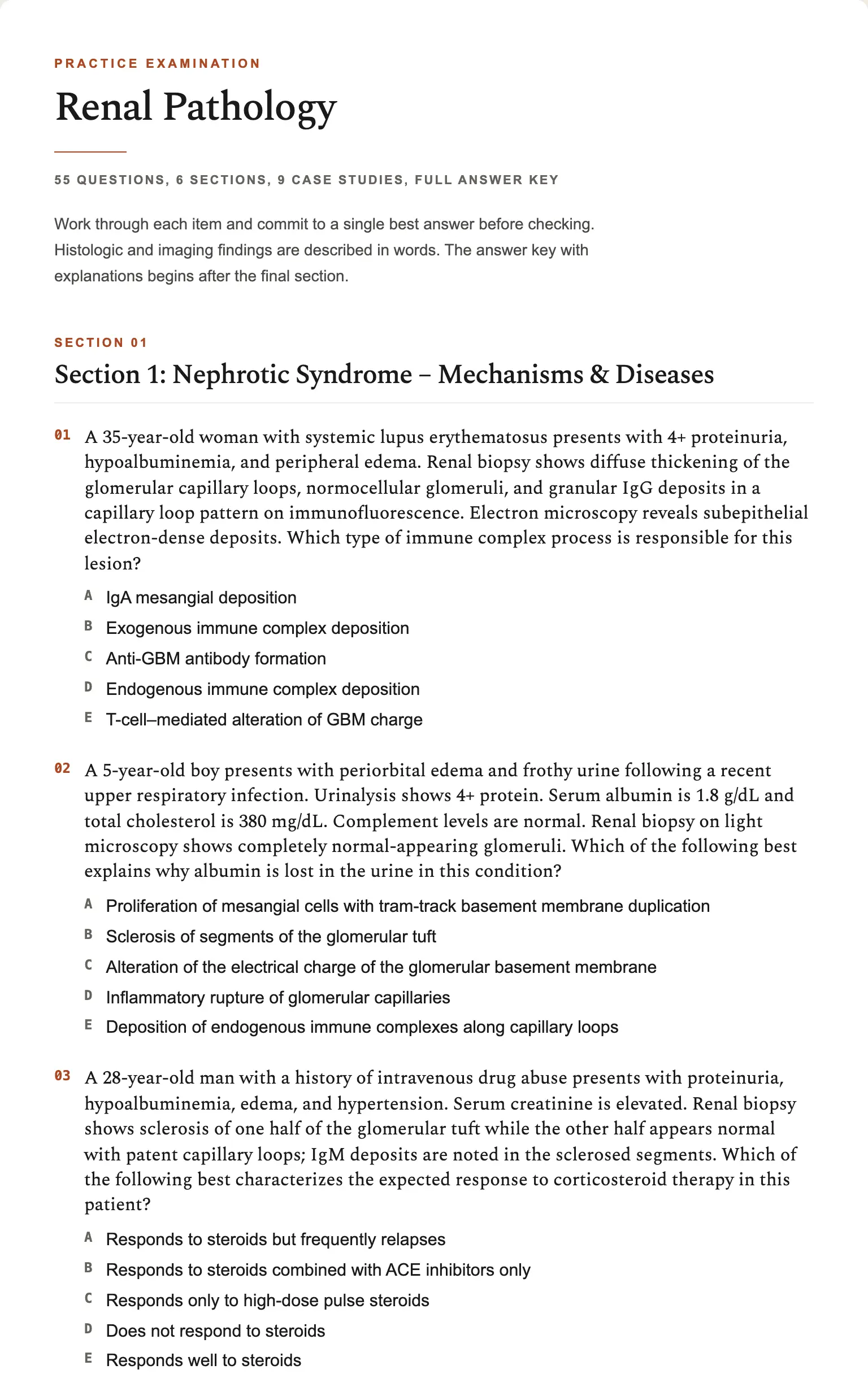 A generated practice exam, formatted as a print-ready document with sections and questions.